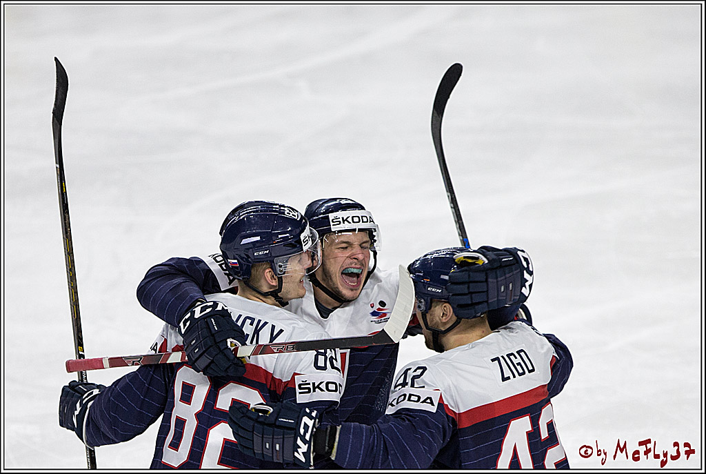 IIHF WM 2017, Schweden - Slowakei, 16.05.2017